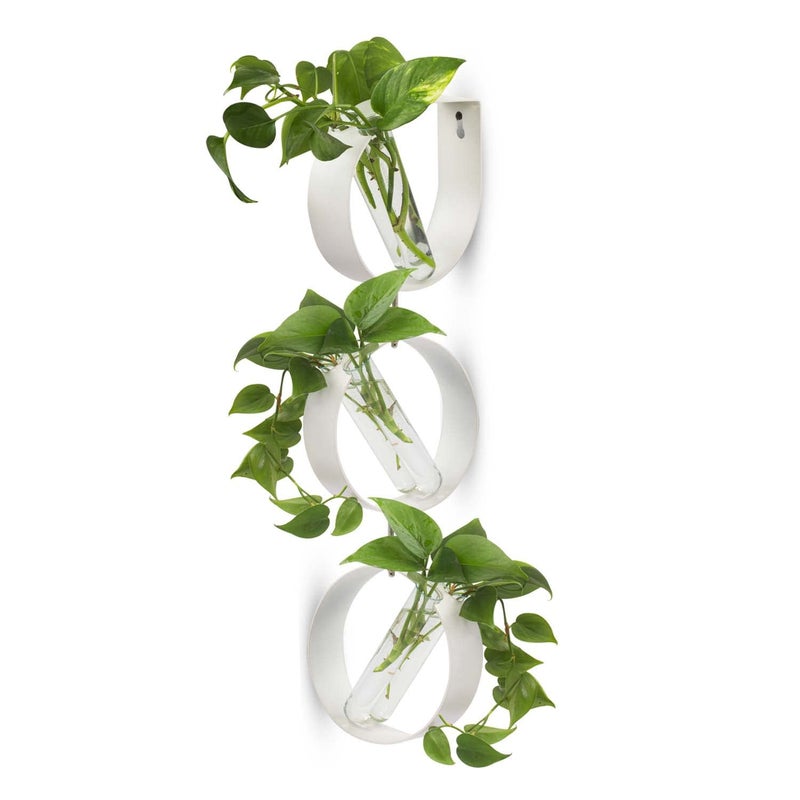 iCraft Wall Mounted Three Metal Ring and Six Test Tube Planters Connected with Metal Studd | Durable Wall Hanging Plant for Home, Office, Room, Outdoors, Indoors (White), Small - Image 5