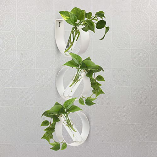 iCraft Wall Mounted Three Metal Ring and Six Test Tube Planters Connected with Metal Studd | Durable Wall Hanging Plant for Home, Office, Room, Outdoors, Indoors (White), Small - Image 4