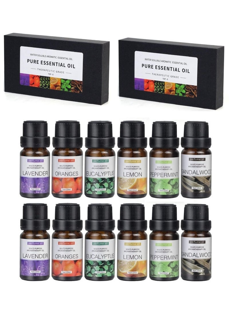 Generic Essential Oils Set Top 12 Blends For Diffusers, Home Care, Candle Making Scents, Fragrance, Aromatherapy, Humidifiers Lavender, Oranges, Eucalyptus, Lemon, Peppermint & Sandalwood 10ML Each Bottle  - Image 1