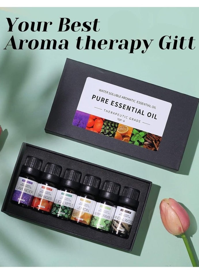 Generic Essential Oils Set Top 12 Blends For Diffusers, Home Care, Candle Making Scents, Fragrance, Aromatherapy, Humidifiers Lavender, Oranges, Eucalyptus, Lemon, Peppermint & Sandalwood 10ML Each Bottle  - Image 3