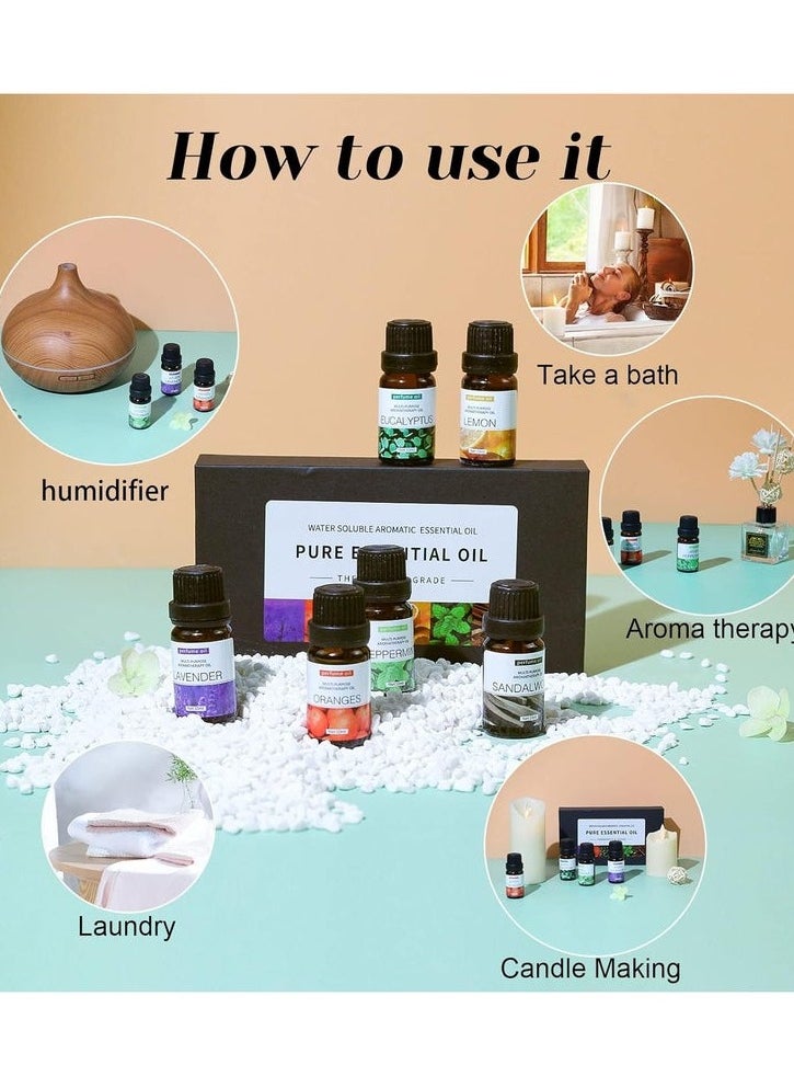 Generic Essential Oils Set Top 12 Blends For Diffusers, Home Care, Candle Making Scents, Fragrance, Aromatherapy, Humidifiers Lavender, Oranges, Eucalyptus, Lemon, Peppermint & Sandalwood 10ML Each Bottle  - Image 4