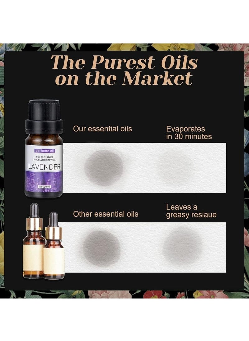 Generic Essential Oils Set Top 12 Blends For Diffusers, Home Care, Candle Making Scents, Fragrance, Aromatherapy, Humidifiers Lavender, Oranges, Eucalyptus, Lemon, Peppermint & Sandalwood 10ML Each Bottle  - Image 5