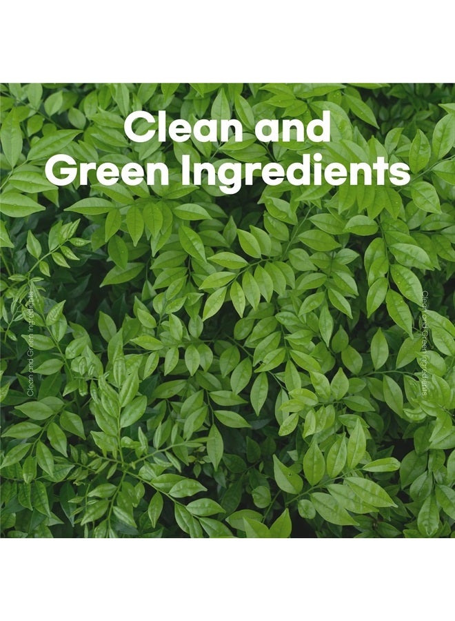 skybottle لوشن مرطب معطر للجسم مع مضخة، سريع الامتصاص، عناية بالبشرة الكورية، لوشن برائحة جريب فروت الحمضية للنساء والرجال، هدية عيد الحب للفتيات، 10.1 أونصة سائلة - Image 5