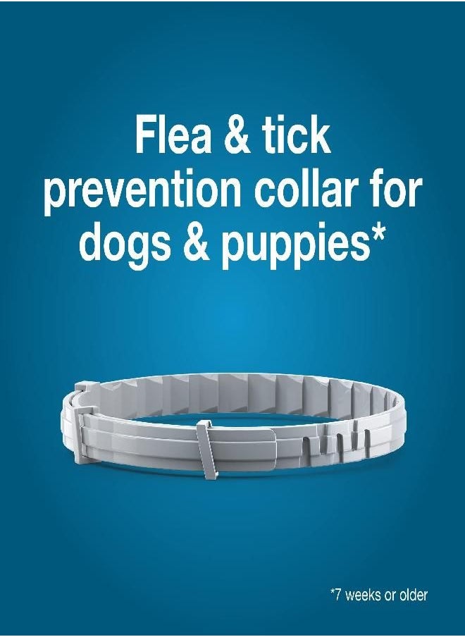 seresto Seresto Large Dog Vet-Recommended Flea & Tick Treatment & Prevention Collar for Dogs Over 18 lbs. | 8 Months  - Image 4
