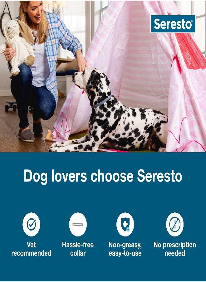 seresto Seresto Large Dog Vet-Recommended Flea & Tick Treatment & Prevention Collar for Dogs Over 18 lbs. | 8 Months  - Image 3