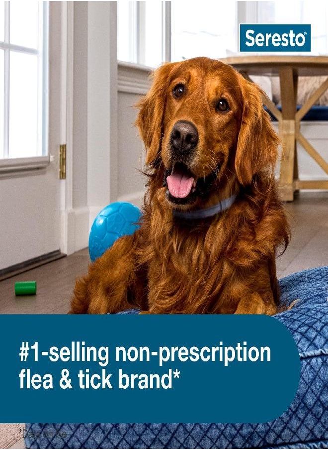 seresto Seresto Large Dog Vet-Recommended Flea & Tick Treatment & Prevention Collar for Dogs Over 18 lbs. | 8 Months  - Image 5