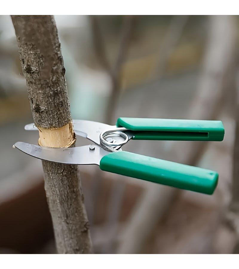 Green Stainless Steel Grafting Tool Professional Gardening Pruning Shears Bark Cutter And Fruit Tree Seedling Grafting Ring Cutter For Orchards Vineyards - Image 1