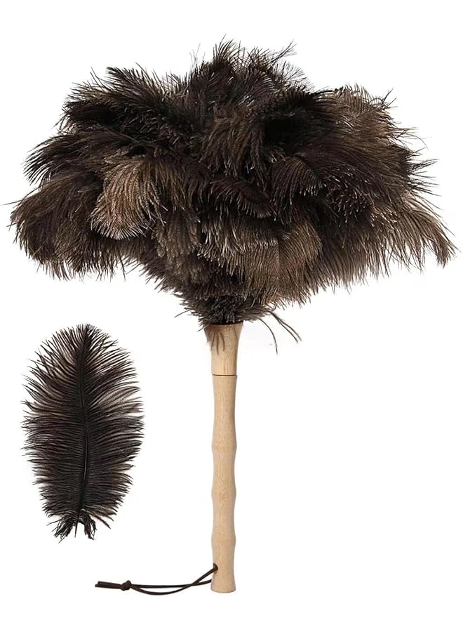 promass Ostrich Feather Duster 16 inch Ostrich Feather Duster Fluffy Natural Genuine Ostrich Feathers with Wooden Handle and Eco-Friendly Reusable Handheld Ostrich Feather Duster for Cleaning Supplies - Image 1