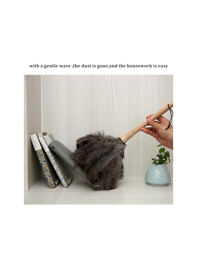 promass Ostrich Feather Duster 16 inch Ostrich Feather Duster Fluffy Natural Genuine Ostrich Feathers with Wooden Handle and Eco-Friendly Reusable Handheld Ostrich Feather Duster for Cleaning Supplies - Image 2