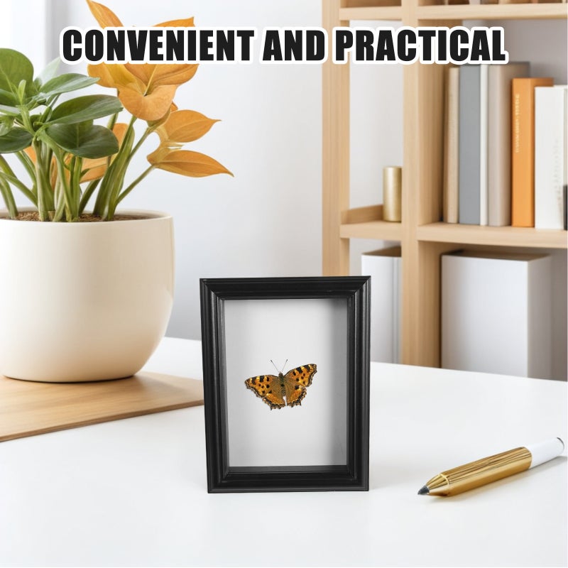 Black Wood Insect Specimen Display Frame with Clear Glass for Storage and Showcase - Image 5