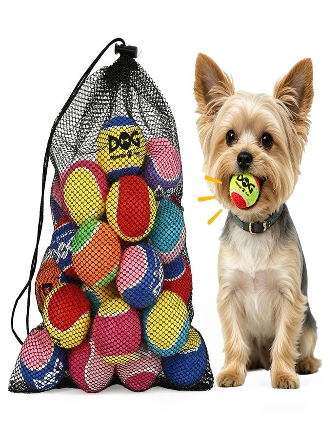 INSUM Squeaky Balls for Dogs - 24 Pack Small Squeaky Tennis Balls for Dogs, 2 Inch Eye-Catching Color Toy Balls, Built-in Squeaker, Idea for Doggie Birthday Gift - Image 1