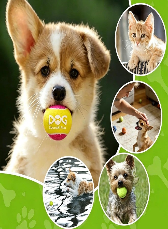 INSUM Squeaky Balls for Dogs - 24 Pack Small Squeaky Tennis Balls for Dogs, 2 Inch Eye-Catching Color Toy Balls, Built-in Squeaker, Idea for Doggie Birthday Gift - Image 5