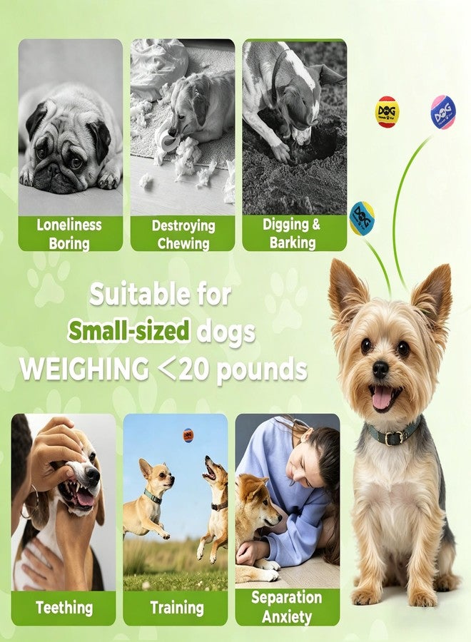 INSUM Squeaky Balls for Dogs - 24 Pack Small Squeaky Tennis Balls for Dogs, 2 Inch Eye-Catching Color Toy Balls, Built-in Squeaker, Idea for Doggie Birthday Gift - Image 2