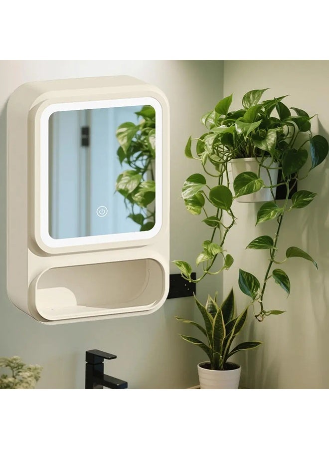XiuWoo Bathroom Mirror Cabinet Bathroom Mirror with Storage Organizer Storage Organizer with LED Lights Magnetic Door Tissue Dispenser - Image 5