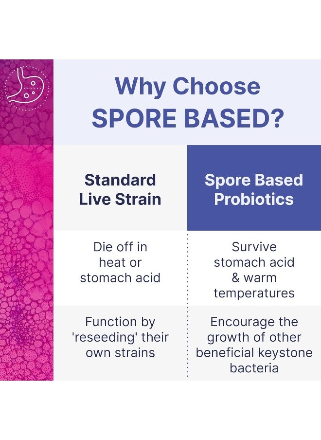 Microbiome Labs - Megasporebiotic - Spore Based Probiotic To Support Gut Health - Proprietary Probiotic Blend Including Bacillus Coagulans + Bacillus Subtilis - Spore Probiotic For Daily Use (60 Count) - Image 1