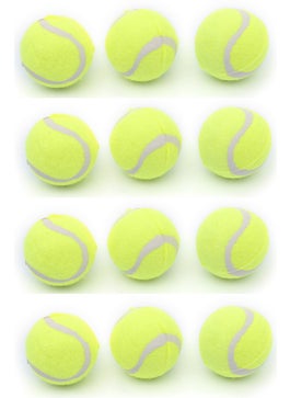 Asl Sport Tennis Ball 12 Pack Silicone - pzsku/Z739AECED06115A579F6EZ/45/_/1740652676/7f6b9f29-e7fd-49d2-8f51-aac33fb8b3f9