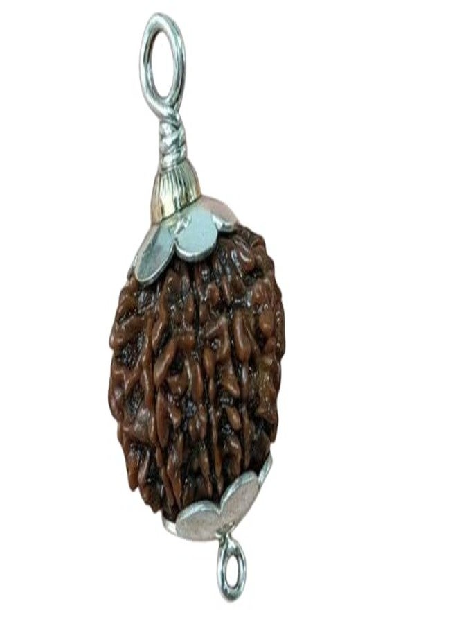 IRIS GEMS 8 Mukhi Rudraksha Original Certified Nepali 8 Mukhi Rudraksh Natural आठ मुखी रुद्राक्ष ओरिजिनल सर्टिफाइड Real Eight Face Rudrakshas With Pendant 8 Face Nepal For Men & Women - Image 1