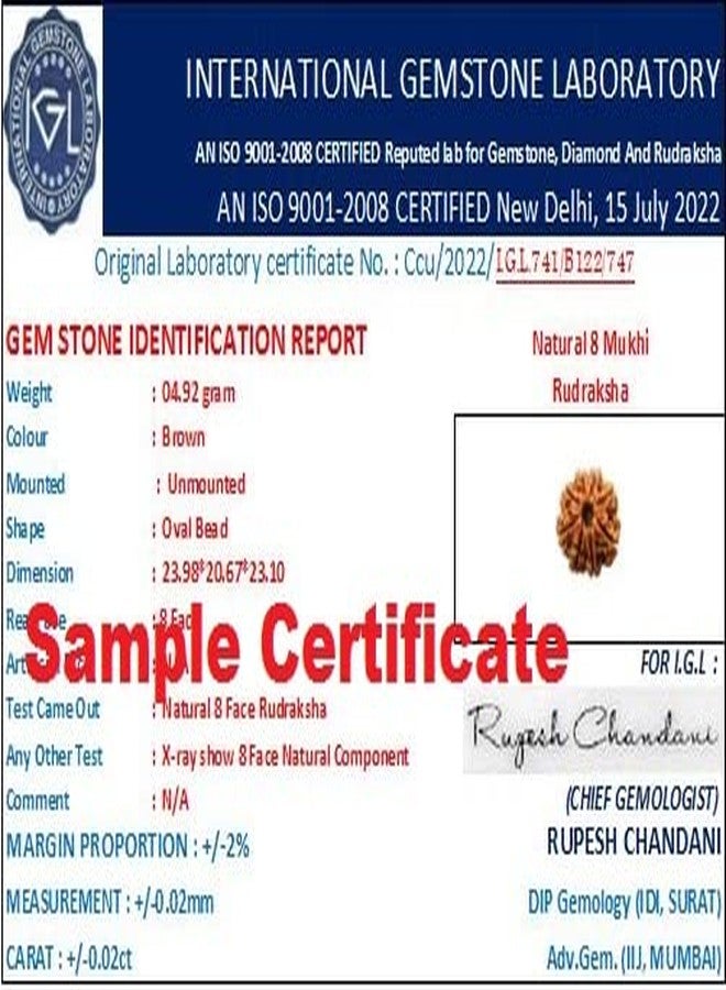 IRIS GEMS 8 Mukhi Rudraksha Original Certified Nepali 8 Mukhi Rudraksh Natural आठ मुखी रुद्राक्ष ओरिजिनल सर्टिफाइड Real Eight Face Rudrakshas With Pendant 8 Face Nepal For Men & Women - Image 5