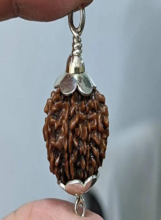 IRIS GEMS 8 Mukhi Rudraksha Original Certified Nepali 8 Mukhi Rudraksh Natural आठ मुखी रुद्राक्ष ओरिजिनल सर्टिफाइड Real Eight Face Rudrakshas With Pendant 8 Face Nepal For Men & Women - Image 3