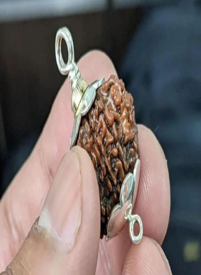 IRIS GEMS 8 Mukhi Rudraksha Original Certified Nepali 8 Mukhi Rudraksh Natural आठ मुखी रुद्राक्ष ओरिजिनल सर्टिफाइड Real Eight Face Rudrakshas With Pendant 8 Face Nepal For Men & Women - Image 2