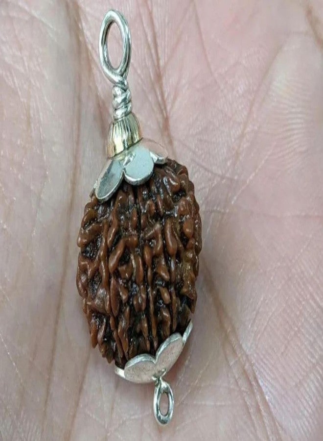 IRIS GEMS 8 Mukhi Rudraksha Original Certified Nepali 8 Mukhi Rudraksh Natural आठ मुखी रुद्राक्ष ओरिजिनल सर्टिफाइड Real Eight Face Rudrakshas With Pendant 8 Face Nepal For Men & Women - Image 4