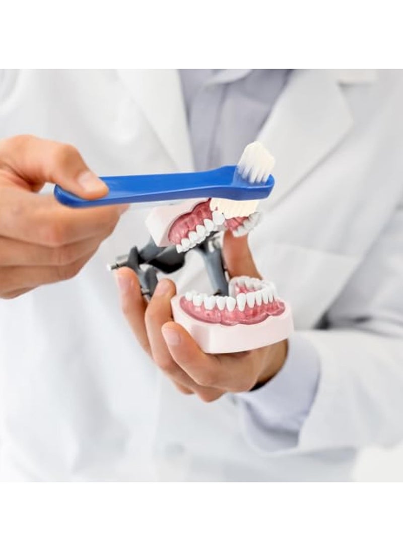 KASTWAVE 25Pcs Denture Brush, Denture Toothbrushes, Individually Dual Headed Firm Hard Bristle Toothbrush, Denture Cleaning Care Cleaning Brush, Dental Appliance Cleaning Brush, for Cleaning False Teeth, Brace - Image 3