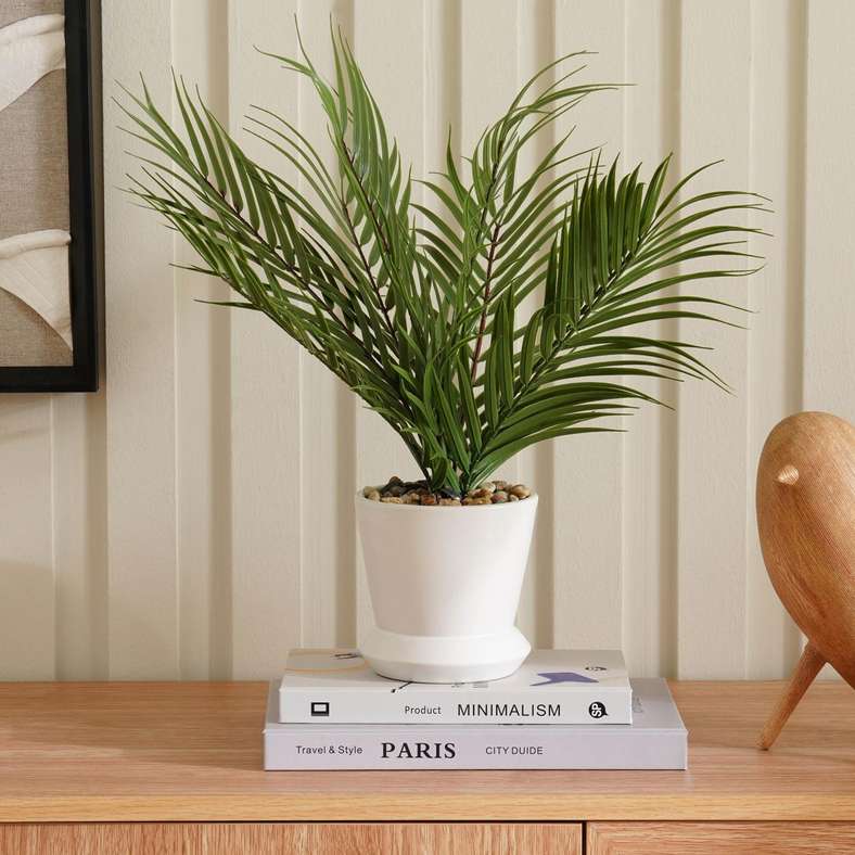 Areca Palm Plant In Ceramic Pot H40.5cm - Green