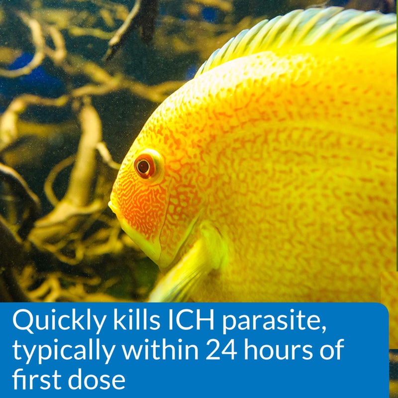 API LIQUID SUPER ICK CURE Freshwater and Saltwater Fish Medication Bottle, 1.7 oz (12A) - Image 5