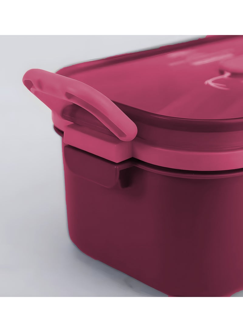 دريزو صندوق غداء للأطفال والكبار، صندوق بينتو مقاوم للتسرب بسعة كبيرة مع زجاجة مياه مطابقة، آمن للاستخدام في الميكروويف والفريزر وغسالة الأطباق، صندوق غداء مثالي للمدرسة والمكتب، وردي غامق - Image 2