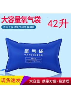 Large Capacity Portable Oxygen Bag Pillow for Emergency Blue - pzsku/Z739E4CF82212CE4CD1FCZ/45/_/1731523710/0ef2dfb9-4d6a-4b4a-9f8d-cdcbacacafa5