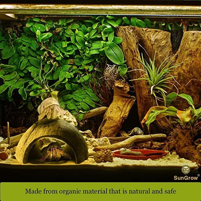 SunGrow Crested Gecko Coconut Huts, 5x3 Inches Reptile Climbing Hide, Leopard Gecko Tank Cage Habitat Accessories, Smooth-Edged Coconut Shell for Exercise, Crawling, Perching and Basking Spot, 2 Pcs - Image 5