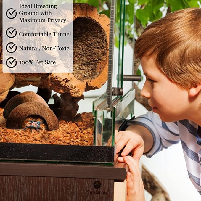 SunGrow Crested Gecko Coconut Huts, 5x3 Inches Reptile Climbing Hide, Leopard Gecko Tank Cage Habitat Accessories, Smooth-Edged Coconut Shell for Exercise, Crawling, Perching and Basking Spot, 2 Pcs - Image 3