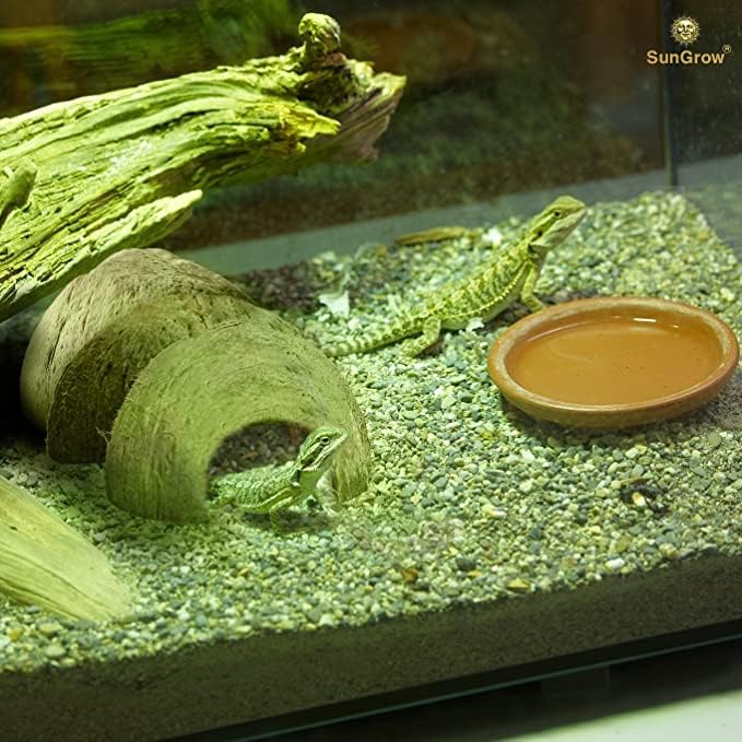SunGrow Crested Gecko Coconut Huts, 5x3 Inches Reptile Climbing Hide, Leopard Gecko Tank Cage Habitat Accessories, Smooth-Edged Coconut Shell for Exercise, Crawling, Perching and Basking Spot, 2 Pcs - Image 4