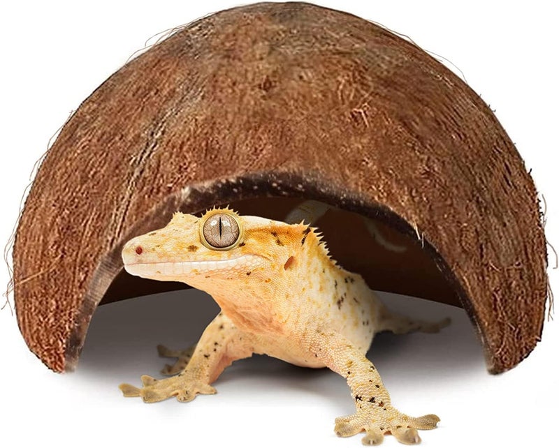 SunGrow Crested Gecko Coconut Huts, 5x3 Inches Reptile Climbing Hide, Leopard Gecko Tank Cage Habitat Accessories, Smooth-Edged Coconut Shell for Exercise, Crawling, Perching and Basking Spot, 2 Pcs - Image 2