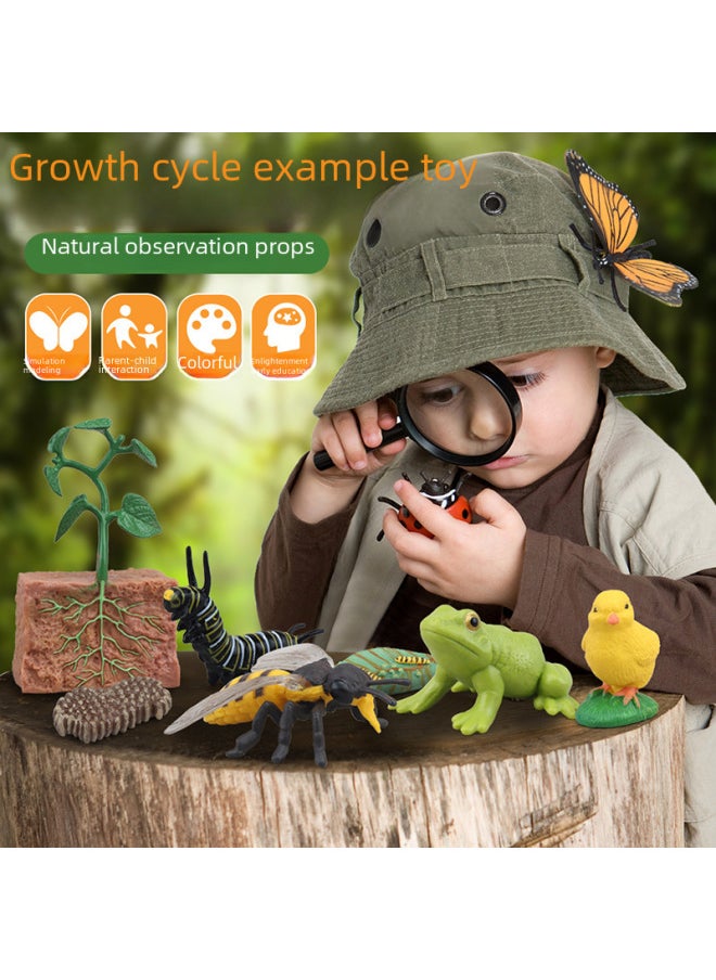 Generic - Realistic Simulation Animal Plant Models Toy Collection - Dinosaurs Dragons Unicorns Mermaids Sharks More-Color:PL127-2415 Duck Growth Cycle + Chinese Card + Color Box - Image 1