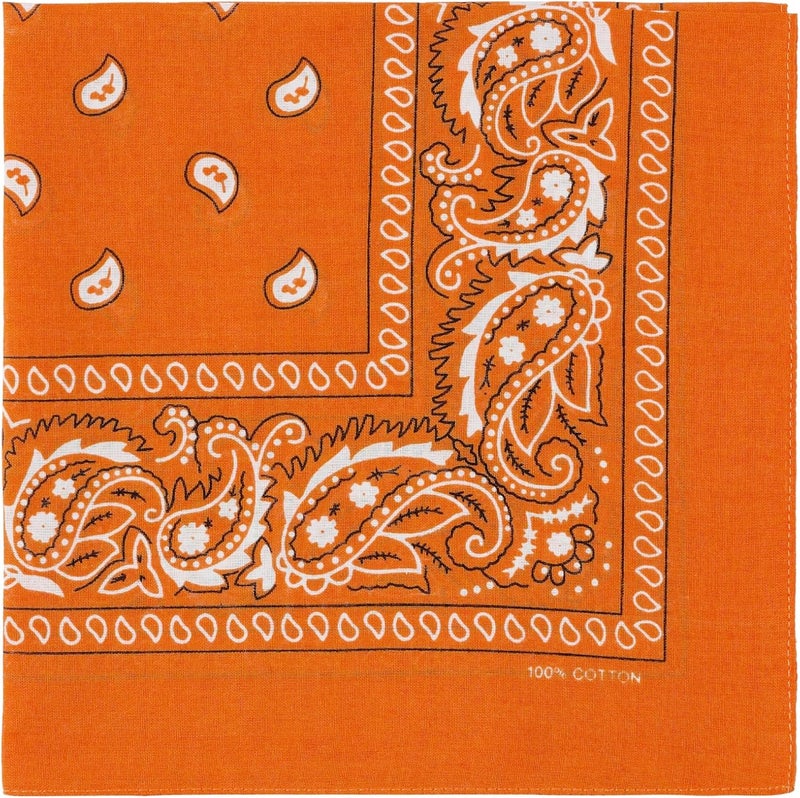 ComboCube 12 Pack(one Dozen) Multi-Purpose Cotton Paisley Cowboy Bandanas Headband for Men and Women - Image 1