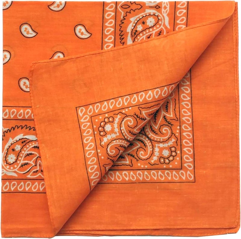 ComboCube 12 Pack(one Dozen) Multi-Purpose Cotton Paisley Cowboy Bandanas Headband for Men and Women - Image 2