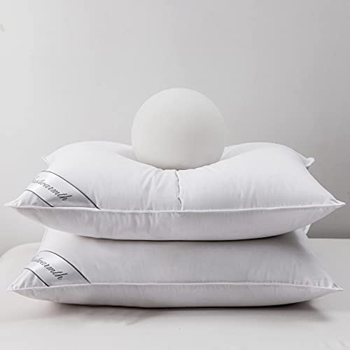 Eastwarmth Goose Down Feather Pillows Bedding Hotel Pair Pillows 100% Cotton Cover Set of Two Queen Size 20x30inch White Color - Image 1