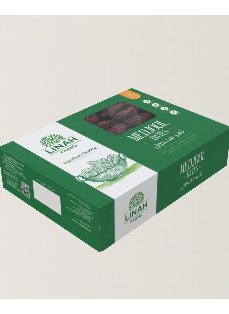 Medjool dates mini 1KG - pzsku/Z73A2BA59BA918F96B2D9Z/45/_/1738001136/ca625268-2298-44b0-9719-91eeabcb551d