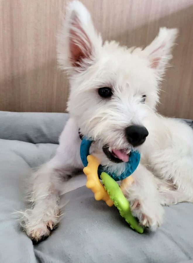 Nylabone Puppy Teething Rings - Image 3