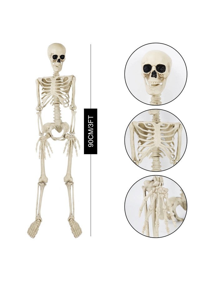 Juegoal Juegoal Halloween 3 ft Skeleton, 1/2 Life Size Human Bones With Adjustable Joints, Pose-N-Stay Realistic Full Body Prop for Halloween Decoration  - Image 2