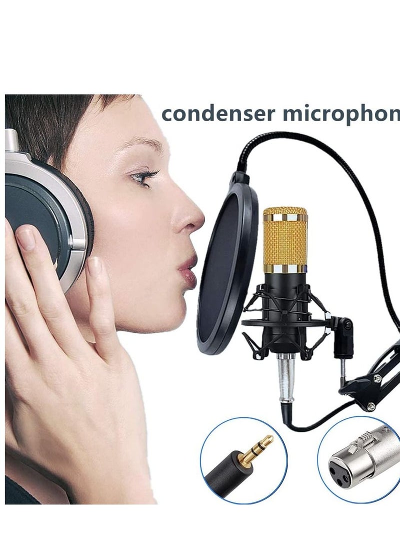 Condenser Microphone BundleMic Kit with Live Sound Card, Adjustable Mic Suspension Scissor Arm - Image 3