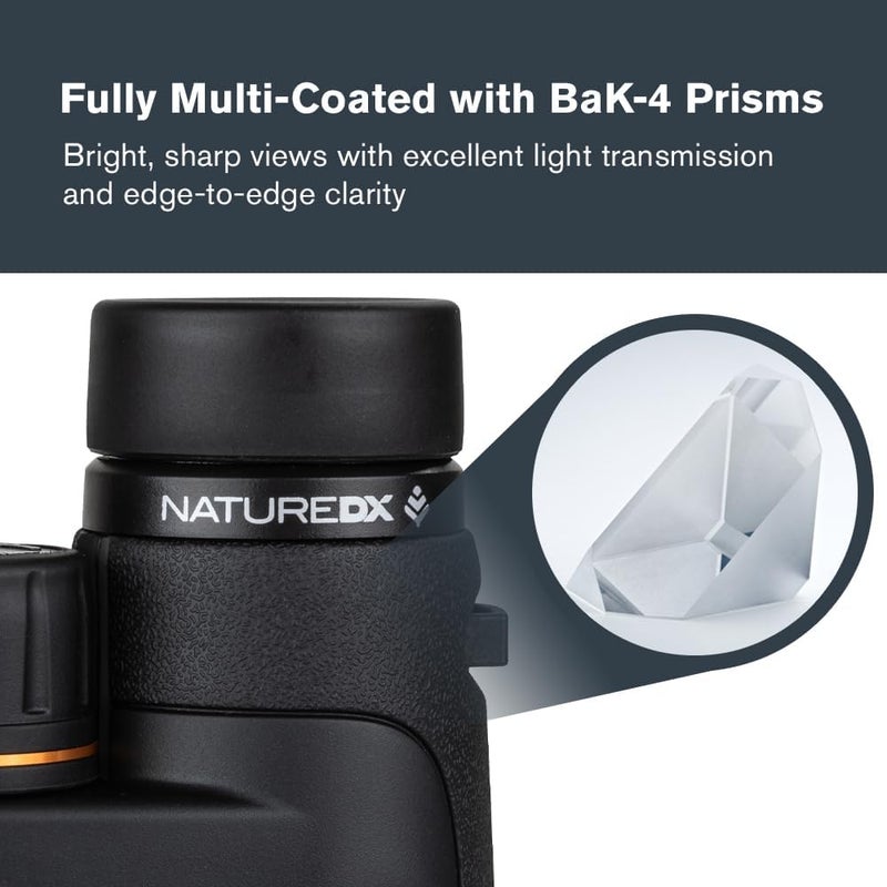 Celestron – Nature DX 12x50 Binoculars – Outdoor and Birding Binocular – Fully Multi-Coated with BaK-4 Prisms – Rubber Armored – Fog & Waterproof Binoculars - Image 3