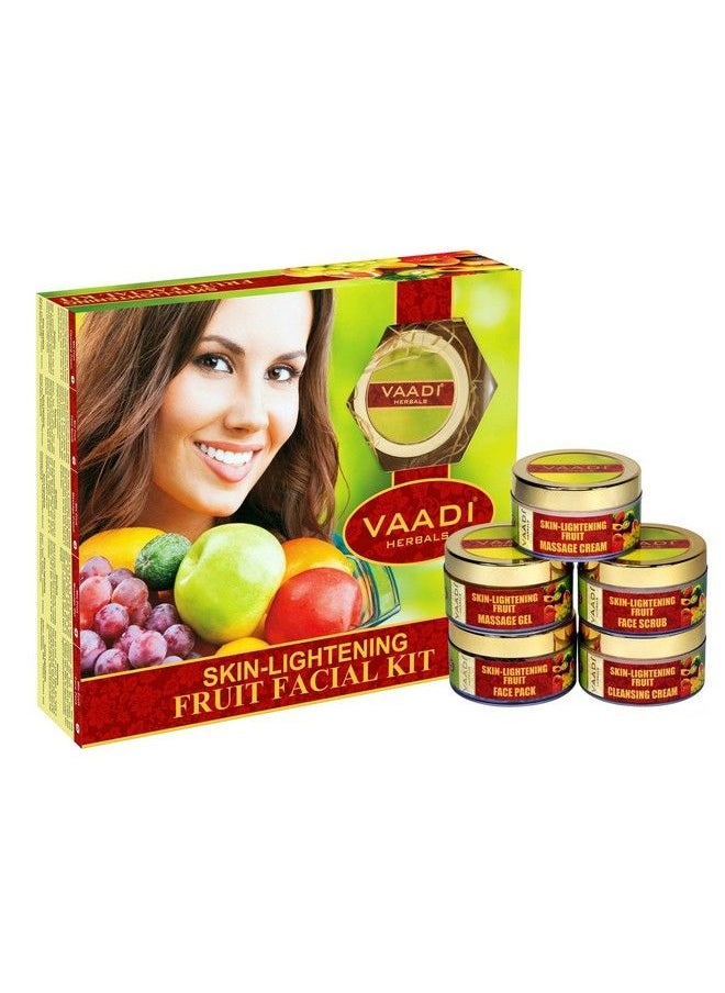 VAADI HERBALS - Skin Lightening Fruit Facial Kit 270G - Image 1