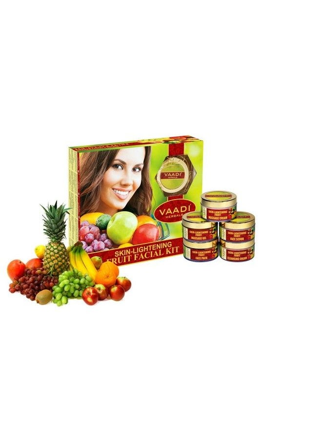 VAADI HERBALS - Skin Lightening Fruit Facial Kit 270G - Image 1