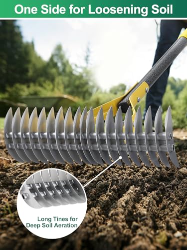 Feblomst Thatch Rake, 2-in-1 Lawns Manual Dethatcher with Adjustable Head, 70" Heavy Duty Metal Dethatching Rake Garden Tools, 19-Tooth Sharp Blade for Yard Dead Grass, Moss Removal, Soil Loosening - Image 3