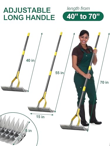 Feblomst Thatch Rake, 2-in-1 Lawns Manual Dethatcher with Adjustable Head, 70" Heavy Duty Metal Dethatching Rake Garden Tools, 19-Tooth Sharp Blade for Yard Dead Grass, Moss Removal, Soil Loosening - Image 5