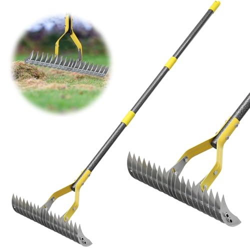 Feblomst Thatch Rake, 2-in-1 Lawns Manual Dethatcher with Adjustable Head, 70" Heavy Duty Metal Dethatching Rake Garden Tools, 19-Tooth Sharp Blade for Yard Dead Grass, Moss Removal, Soil Loosening - Image 1
