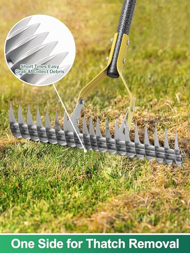 Feblomst Thatch Rake, 2-in-1 Lawns Manual Dethatcher with Adjustable Head, 70" Heavy Duty Metal Dethatching Rake Garden Tools, 19-Tooth Sharp Blade for Yard Dead Grass, Moss Removal, Soil Loosening - Image 2