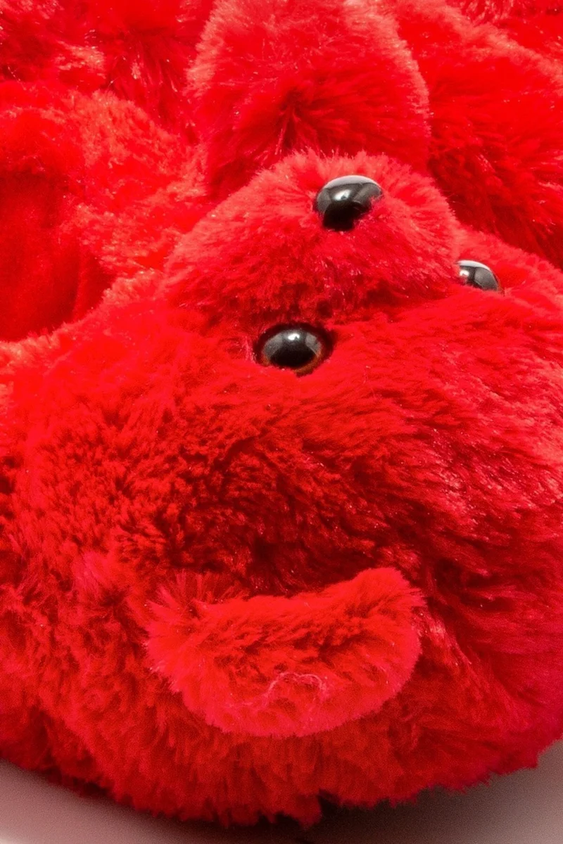 تويجي Teddy Women Animal Slippers Red 36/41 AA0665